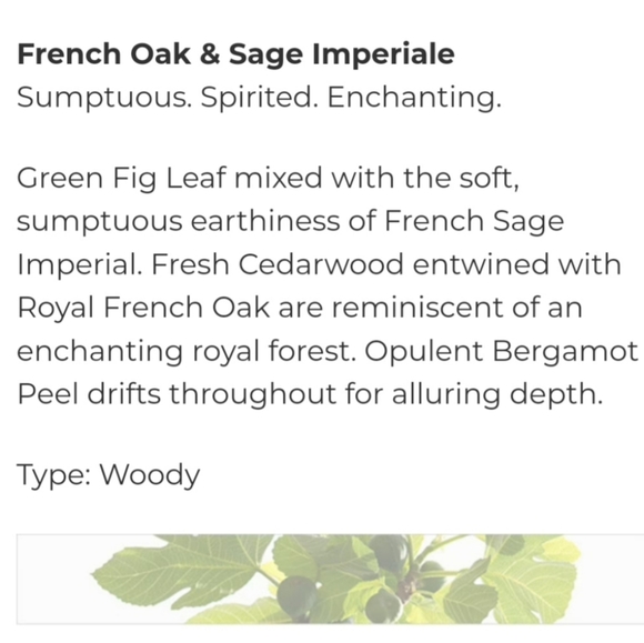 🕯 Fresh Michel Germain Parfum Candle Set - Picture 8 of 15